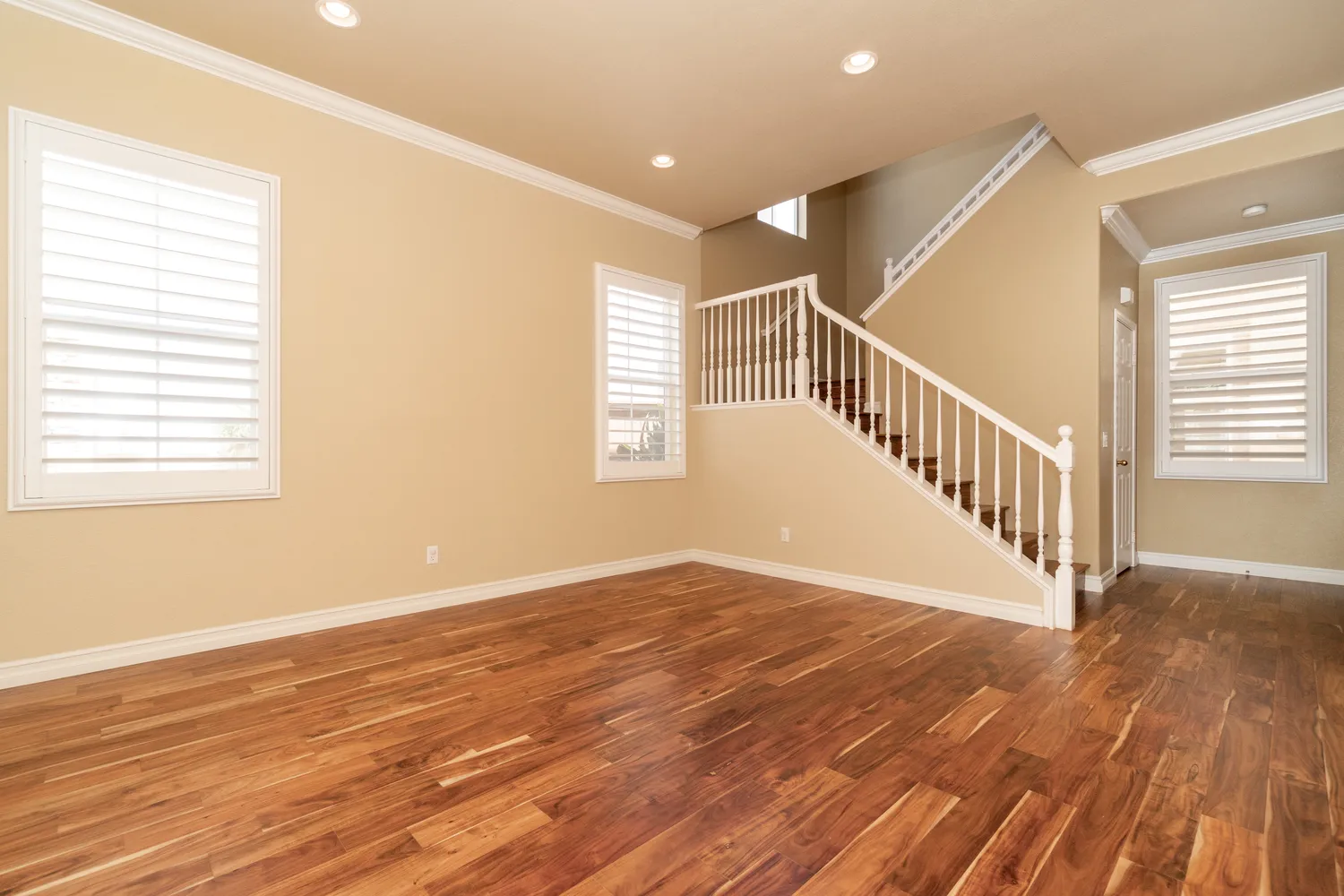 Painters Near You | CTP ECO